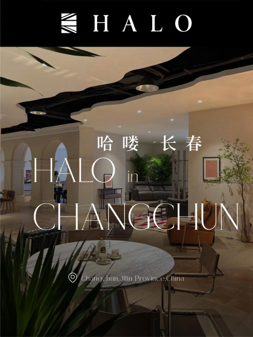 HALO life丨HALO 再扩版图 多城集结循光而行