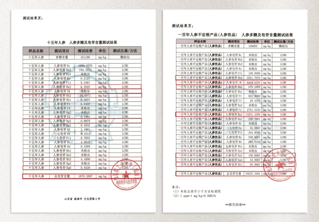 濒危野山参获科技守护！安然植物干细胞技术产出16倍皂苷、15万倍Rg3