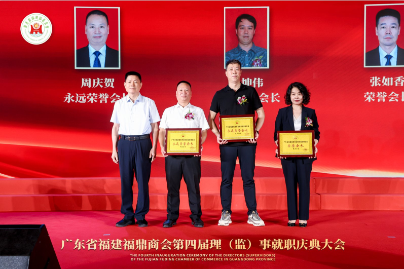 https://dmxw.fjcxin.com/wp-content/uploads/2025/07/80db7c88e712a07fb3cea5b7fdd2a9c1.png