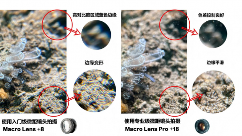 DIVEVOLK推出专业水下微距镜+18：重新定义智能手机水下显微摄影边界