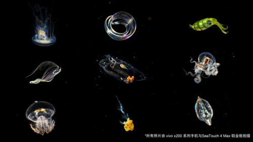 DIVEVOLK大使吴正杰《太空战舰》斩获2025 vivo影像加大赛年度最佳