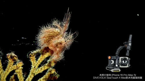 DIVEVOLK防水壳全面兼容苹果iPhone 17系列，并发布定制升级模块