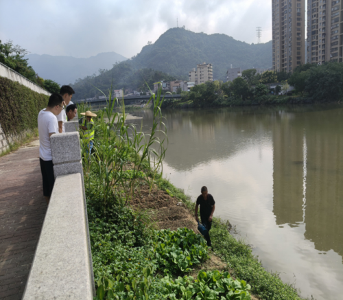 告别河岸“菜园子”，罗源重现水清岸绿生态画卷